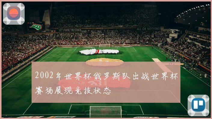 2002年世界杯俄罗斯队出战世界杯赛场展现竞技状态