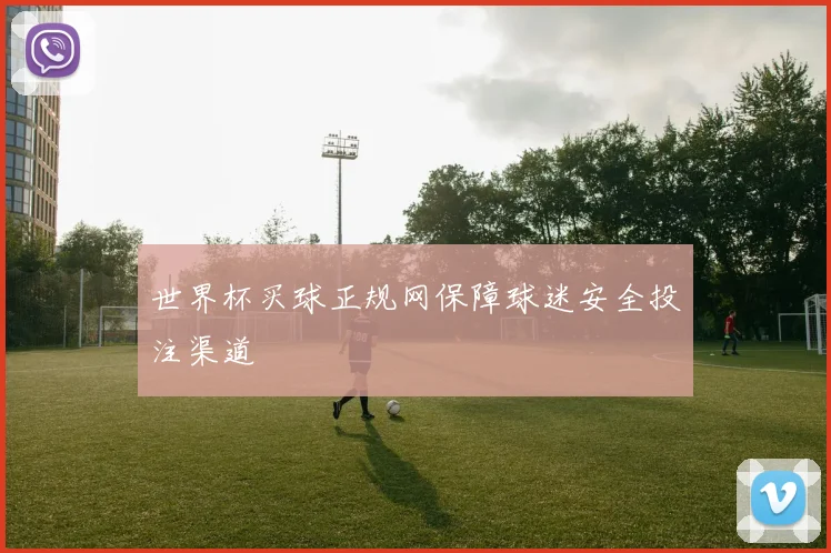 世界杯买球正规网保障球迷安全投注渠道