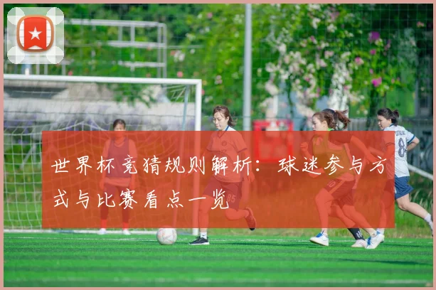 世界杯竞猜规则解析：球迷参与方式与比赛看点一览